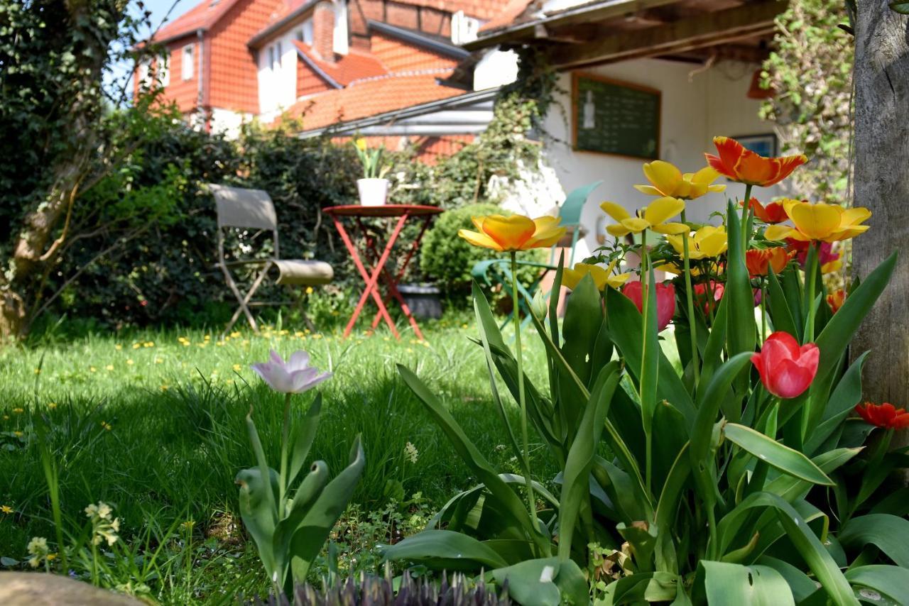 Apartmenthaus Duderstadt Exteriör bild